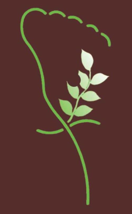 Fuss- und Heilpraxis Fischer